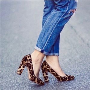 J Crew Collection Etta Calf Hair Pumps